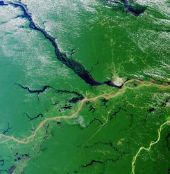 Confluence du Rio Solimões et du Rio Negro près de Manaus, au Brésil, formant l